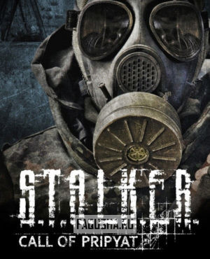 Обложка S.T.A.L.K.E.R.: Call of Pripyat