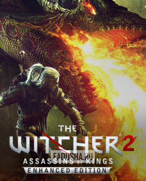 Обложка The Witcher 2: Assassins of Kings