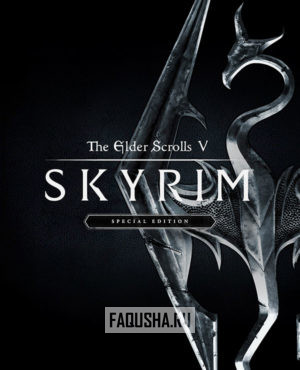 Обложка The Elder Scrolls V: Skyrim Special Edition
