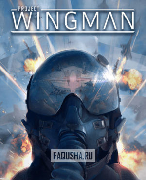 Обложка Project Wingman