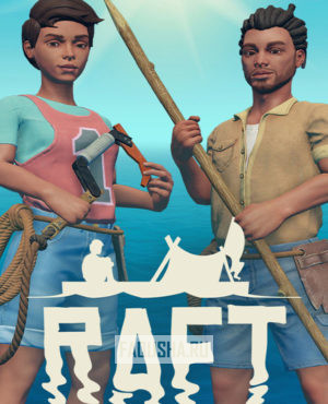 Обложка Raft