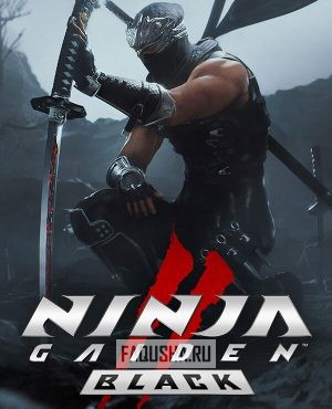 Обложка Ninja Gaiden 2 Black