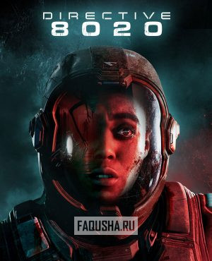 Обложка Directive 8020