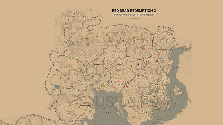 Карта с местоположением костей динозавров в Red Dead Redemption 2