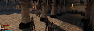 Мииран во дворе Казематов в задании "Гибель Лотеринга" в Dragon Age 2