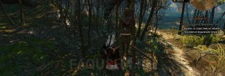Идол на Сладкой Тропинке на Кривоуховых топях в задании "Хозяйки леса" в "Ведьмаке 3"
